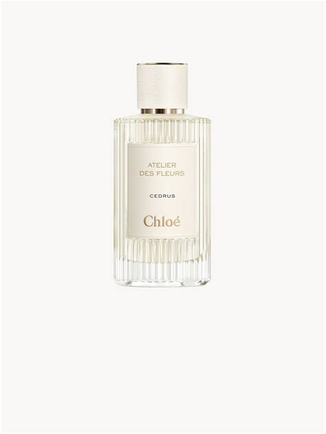 parfum chloe atelier des fleurs|chloe rose perfume chemist warehouse.